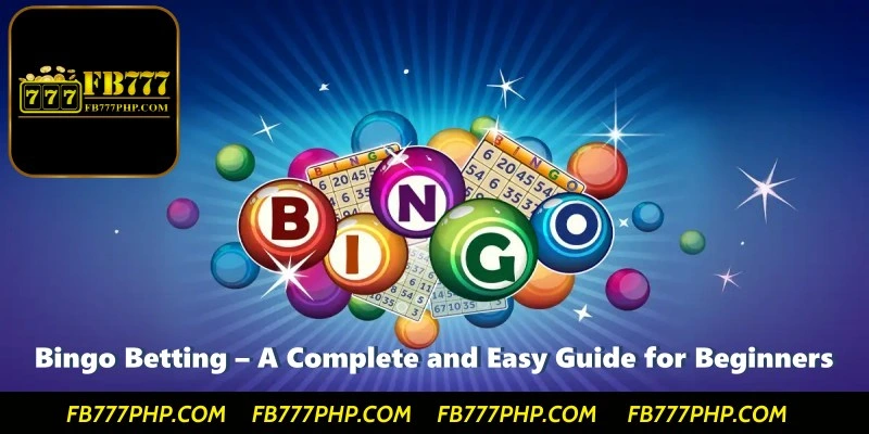 Bingo Betting – A Complete and Easy Guide for Beginners